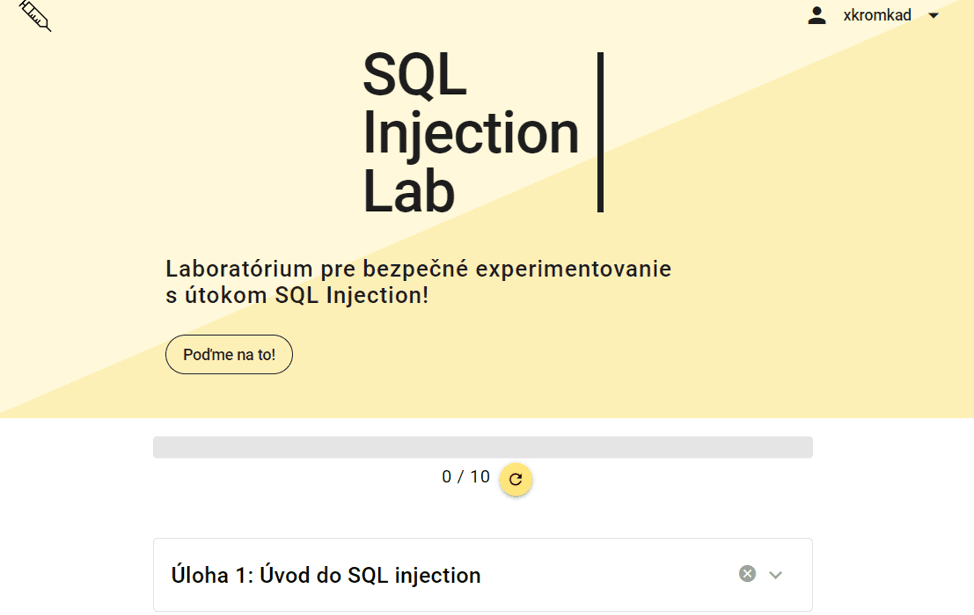 Screenshot of SQL Injection Lab – safe practice environment for web security skills